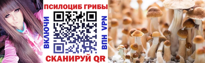 МЕГА ССЫЛКА  купить наркоту  Арсеньев  Галлюциногенные грибы ЛСД 